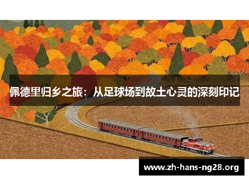 佩德里归乡之旅：从足球场到故土心灵的深刻印记