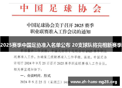 2025赛季中国足协准入名单公布 20支球队将亮相新赛季