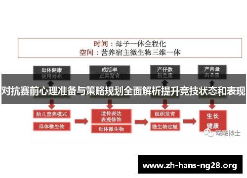 对抗赛前心理准备与策略规划全面解析提升竞技状态和表现